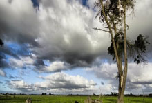 今晚中国女篮直播视频哪里看？比赛亮点、阵容解析全知道！